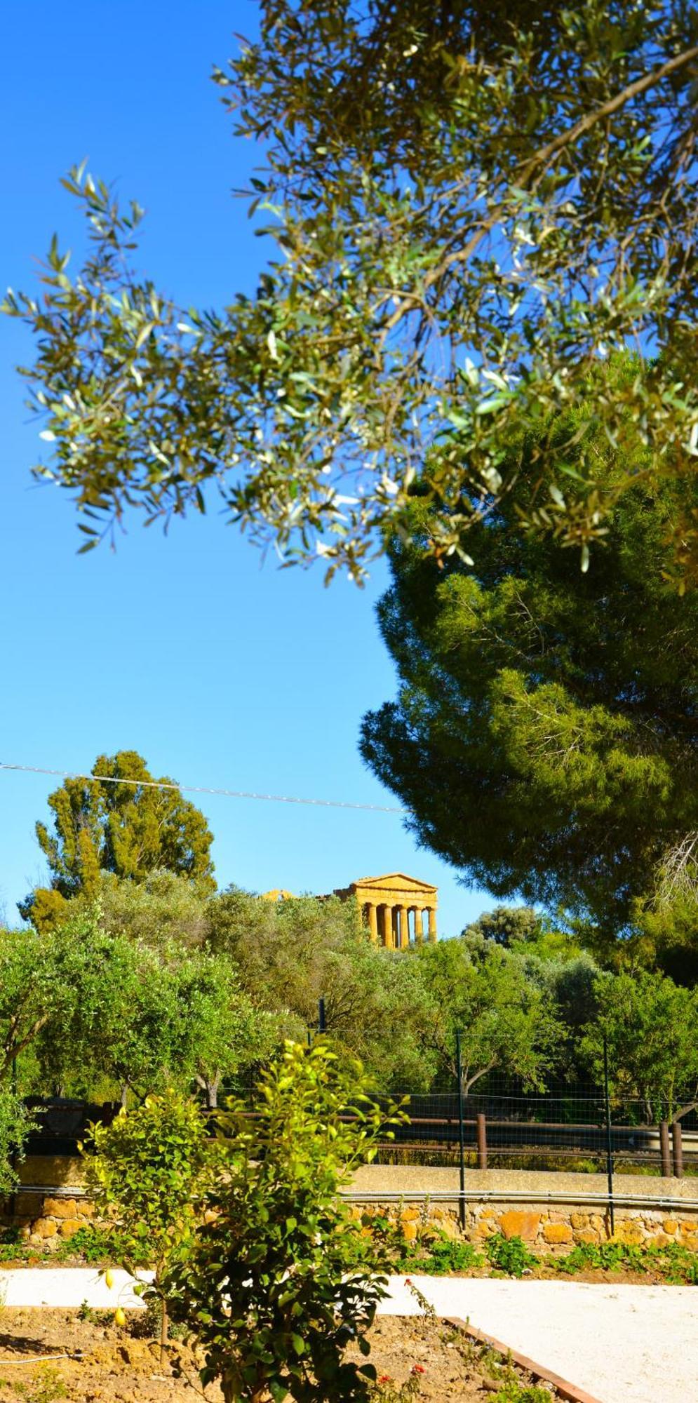 Il Giardino Del Tempio Bed & Breakfast Agrigento Ngoại thất bức ảnh