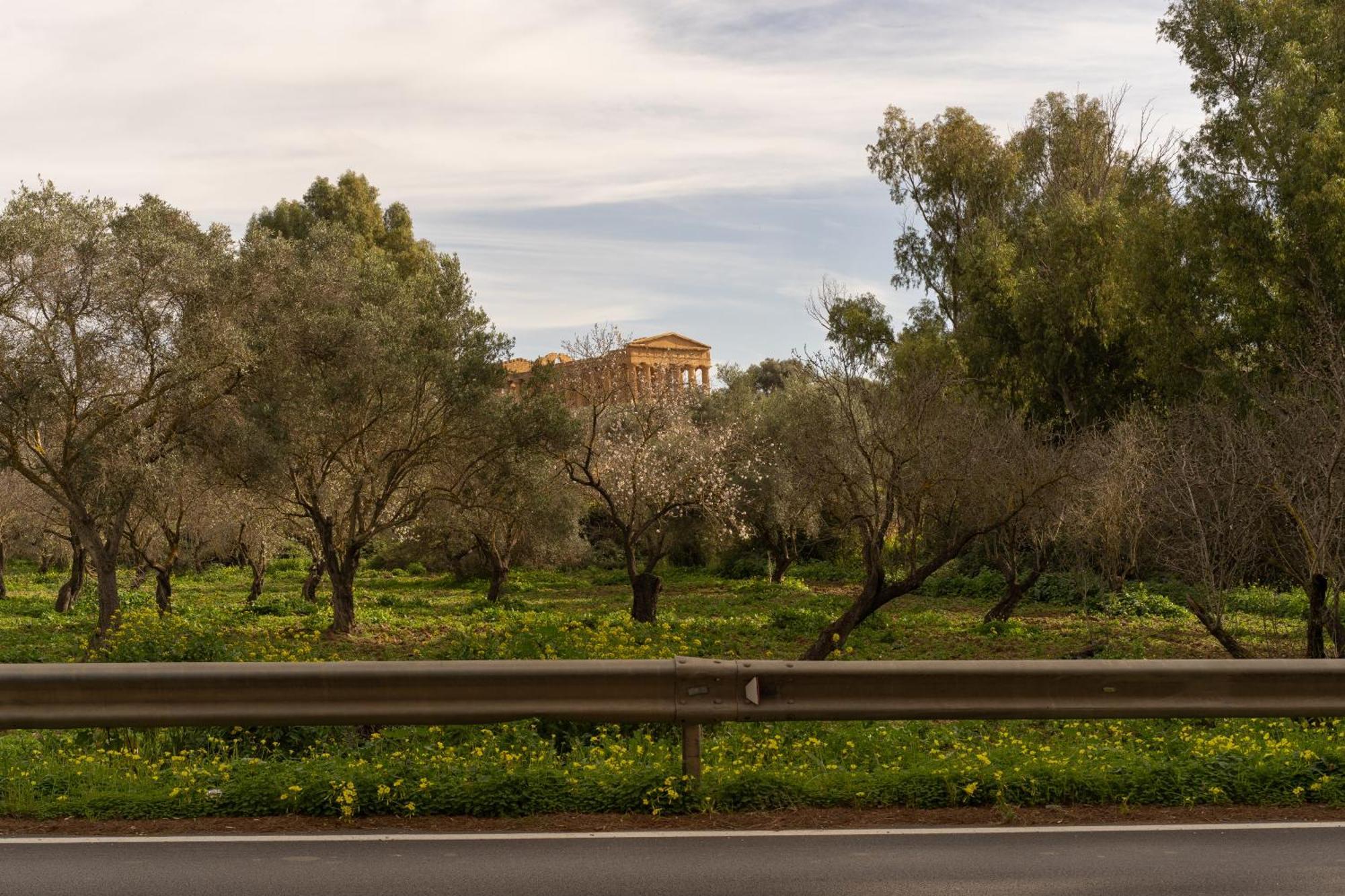 Il Giardino Del Tempio Bed & Breakfast Agrigento Ngoại thất bức ảnh